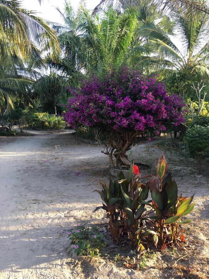 Karamba Lodge Kafountine Dış mekan fotoğraf